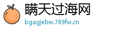 瞒天过海网